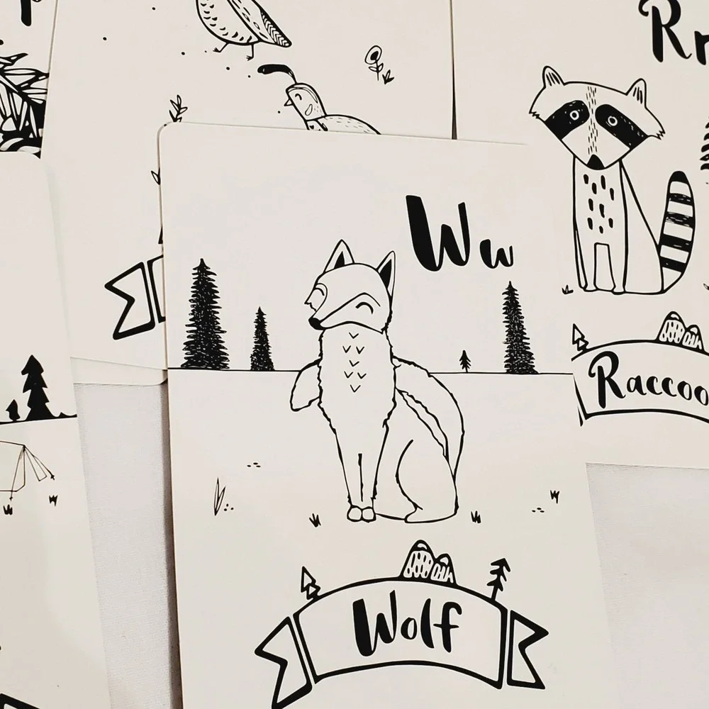Animal Alphabet Number Cards Yolo Kids Educational Box Has Issues‎